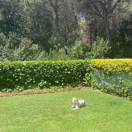 Playa Golf * 팔스